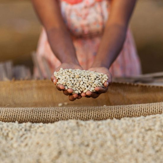 The Secret to Growing Great Coffee in Ethiopia