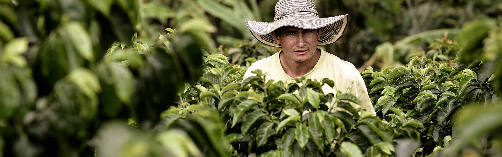 Safeguarding the Coffee Farmers’ Futures