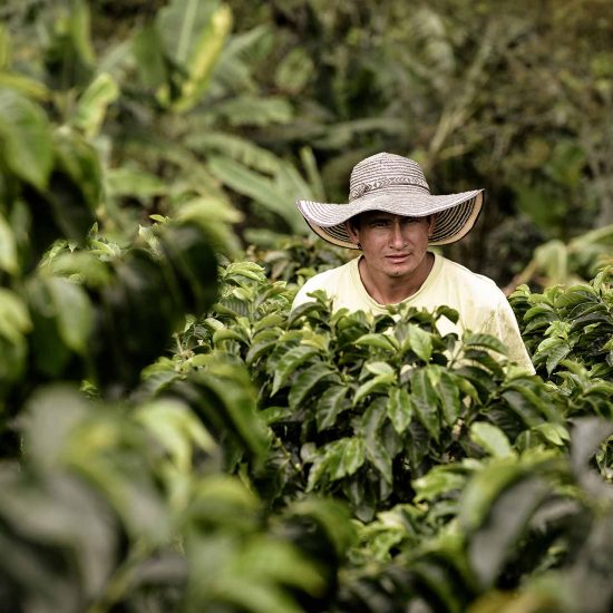 Safeguarding the Coffee Farmers’ Futures