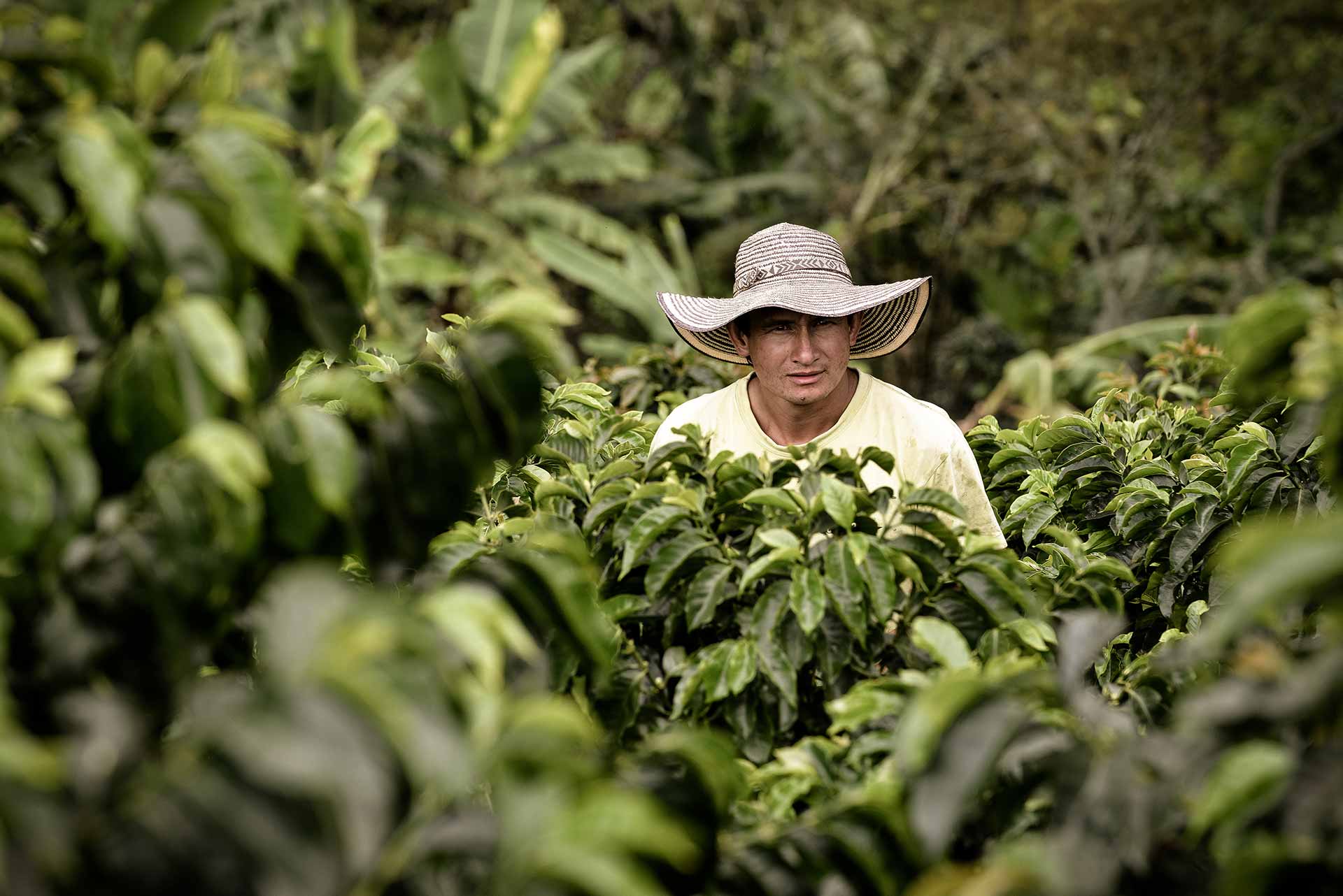 Safeguarding the Coffee Farmers’ Futures