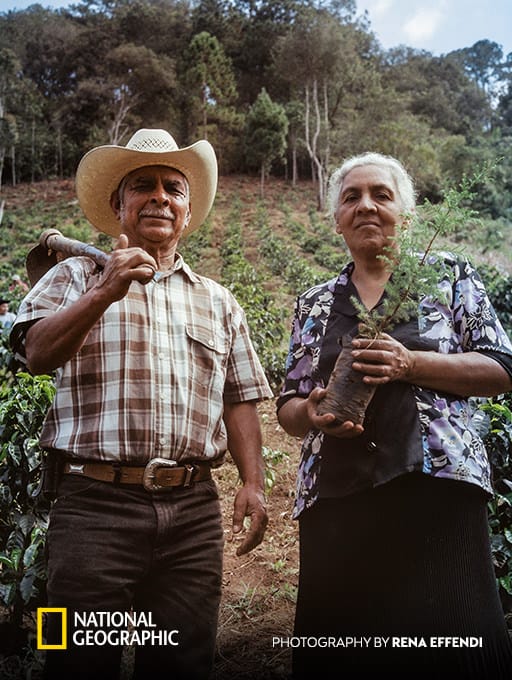 Guatemala landlslide prevention