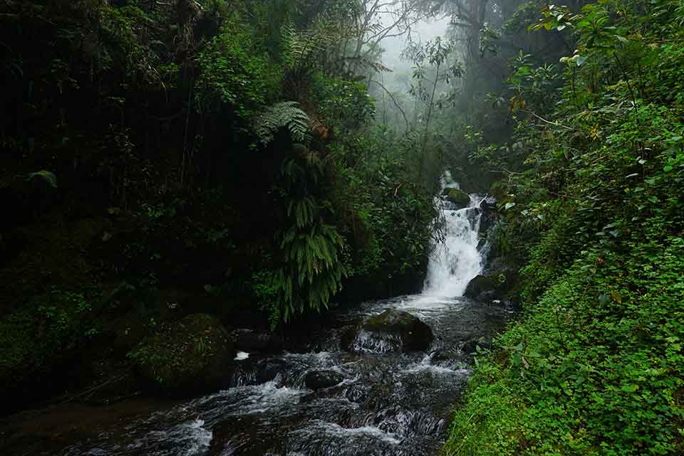 Cleaing & Saving Water In Coffee Bean Production