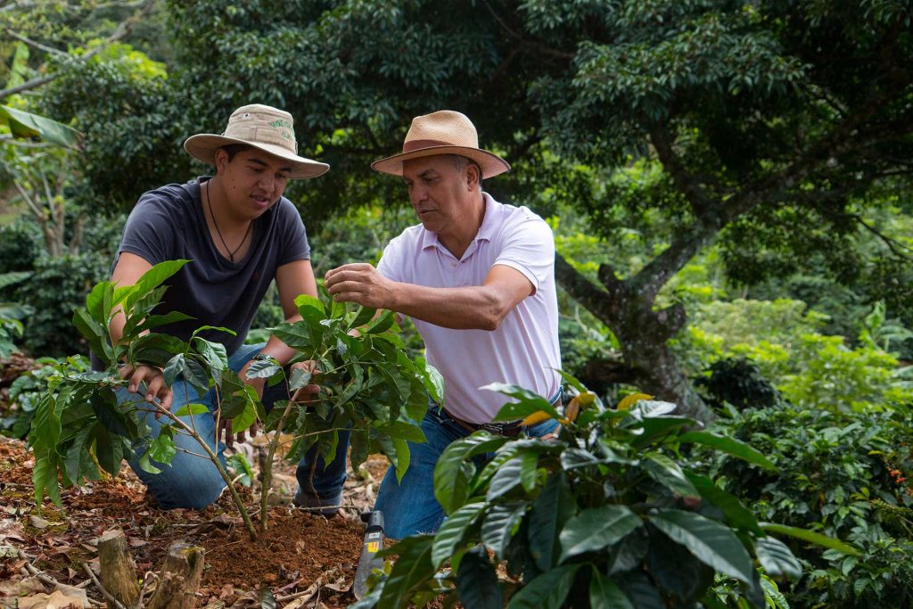 Nespresso & Rainforest Alliance